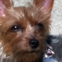 ronda carpenter - @rondacarpenter7 - Twitter