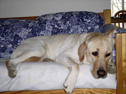 tinameek1's profile picture. 