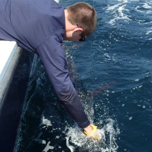 done_deal17's profile picture. 