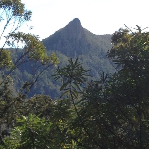 Father of 2 lovely boys and a Princess, Domestic Sparky, passionate Port Adelaide supporter and love walking in the Tasmanian bush.