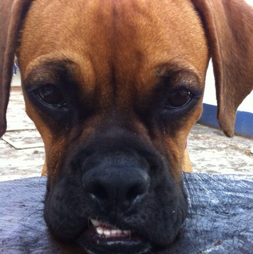 scheillaperez's profile picture. #LOVE nature