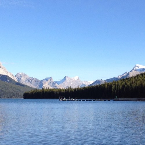 SMLnorthernman's profile picture. a small northern man. living south.