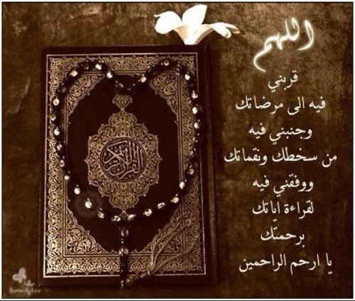 SNBaat's profile picture. 