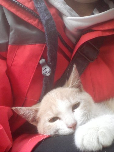 sooohyun77's profile picture. eco life, 동물,식물, 사람들