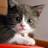 Mojahed520's profile image