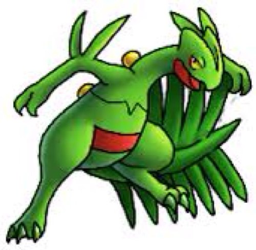 Sceptile21's profile picture. Just a wandering Pokemon that loves its home region. Not owned by any trainers
