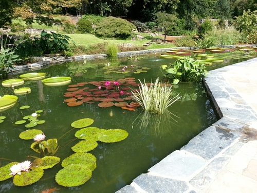 mdseawell's profile picture. 