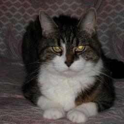 mamode83's profile picture. I am a private tutor, teaching English & French. I like travelling, reading, hiking, nature, music, enjoy food and other cultures, movies, meeting people.