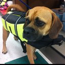 Mark Bellinger - @mrbellinger - Twitter