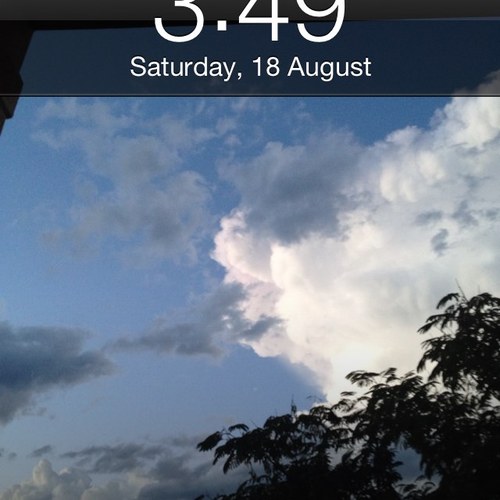 Xniman's profile picture. 