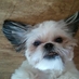 Penelope (@pennymmbf) Twitter profile photo Penelope (@pennymmbf) Twitter profile photo