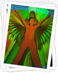 NetSlaves's profile picture. 