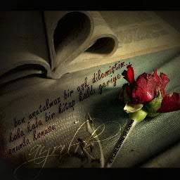 muhends26's profile picture. 