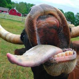 ReeceM2012's profile picture. 