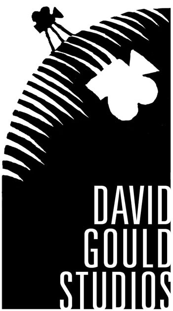 dgouldstudios's profile picture. Film Production Company