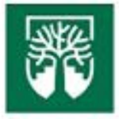 Todo el Deporte Yucateco esta aqui, Noticias Deportivas,