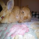 catherine hu - @citcat1315 - Twitter