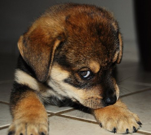 KandyGlofcheski's profile picture. 