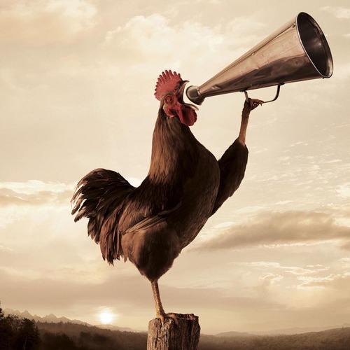 marwayar's profile picture. 