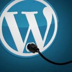 wordpressguide1's profile picture. http://t.co/R6lF5jTvVO