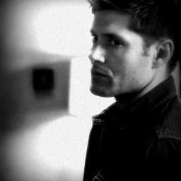 HumsMetallica's profile picture. Even the promise of danger has gone dull, Staring down the barrel of a 45...   • MC | AU | SL •