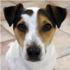 fraserstrandUK's profile picture. I blog about technology, men's fashion and all things gadgety.