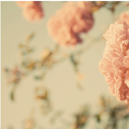 F2010E's profile picture. 