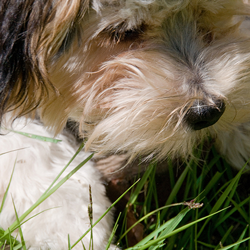 MortieES's profile picture. Trading since 1987