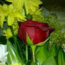 انين (@11ttott11) Twitter