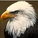 Eagle - @Eagle_Karl - Twitter