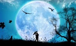 Luna_Observa's profile picture. Observo, analizo y busco respuestas!, el seguirme o no depende de tí! Mi mundo, mis reglas :) Mi twitter, Mi desorden, Mi problema .!*