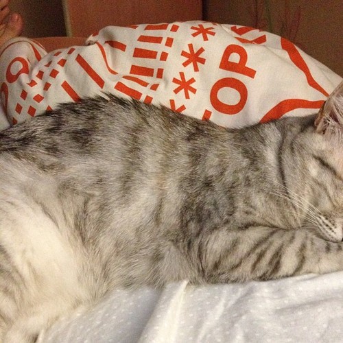 izwuerxexiaxnu1's profile picture. 15ЛюдейКоторыхМнеНравитсяЧитать 6. SashaWalecorn