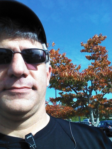 renardfiscus's profile picture. 