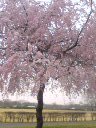 空や自然をみるのが、すきです。