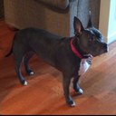 Dane Peters - @goDawgsGA - Twitter