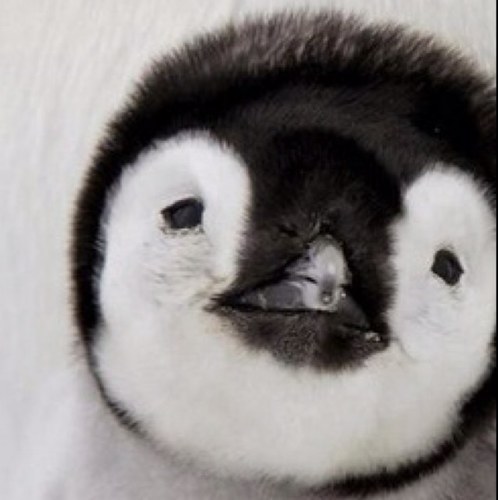 tomoro0619's profile picture. Architecture／TUS／金町