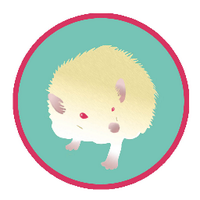 El Erizo Albino (@elerizoalbino) 's Twitter Profile Photo El Erizo Albino (@elerizoalbino) 's Twitter Profile Photo
