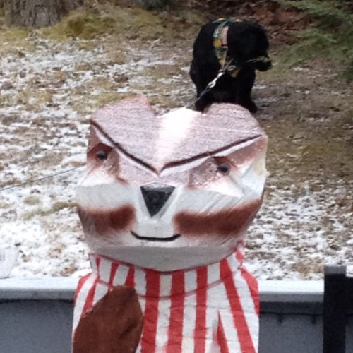 petrel95's profile picture. 