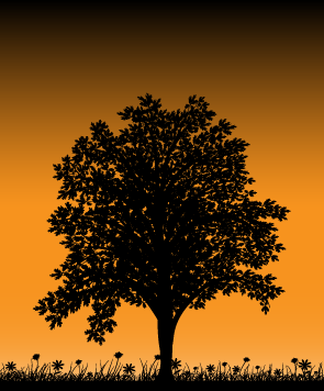 Connected Zen is your simple connection to a digital peaceful life