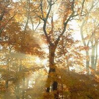Phila Hoopes (@soulpaths) Twitter profile photo