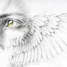 TaoHuang83's profile picture. research：Nutrition and genetics
Johns Hopkins