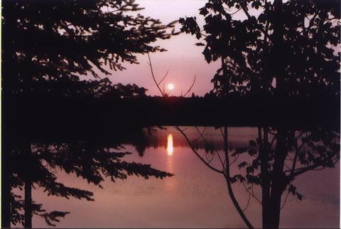 TundraOasis's profile picture. To live where fearless love prevails.