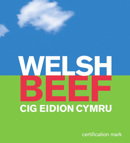 PGIWelshBeef Profile Picture