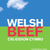 Welsh Beef (@pgiwelshbeef) Twitter profile photo Welsh Beef (@pgiwelshbeef) Twitter profile photo
