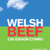 Welsh Beef (@PGIWelshBeef) Twitter profile photo