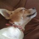 Monika Schultz - @monikawithak - Twitter