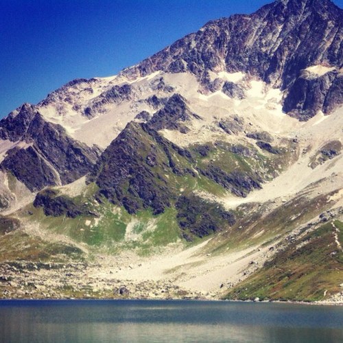 xiandang's profile picture. 