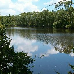 Part of the ST.Johns river