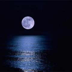 mehtap63377199's profile picture. 