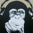 IbizaStuff's profile image